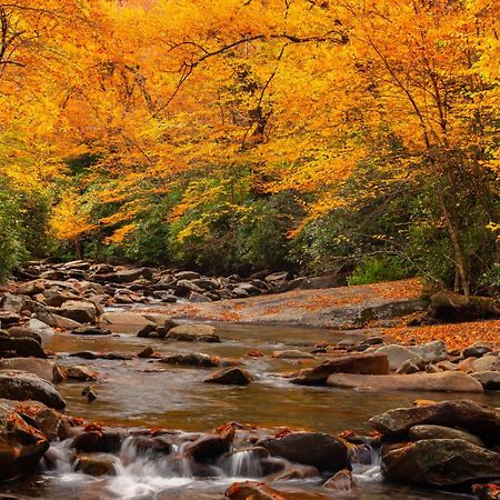 Romantic, Honeymoon Cabin In The Smokies! Gatlinburg Ngoại thất bức ảnh