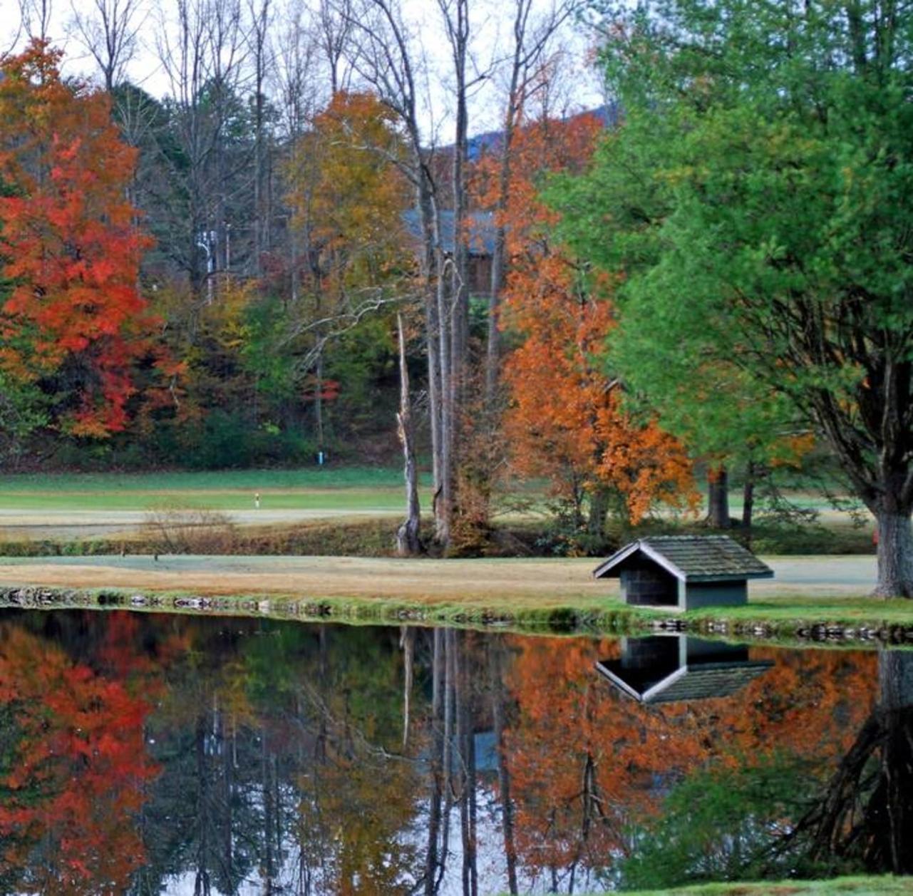 Romantic, Honeymoon Cabin In The Smokies! Gatlinburg Ngoại thất bức ảnh