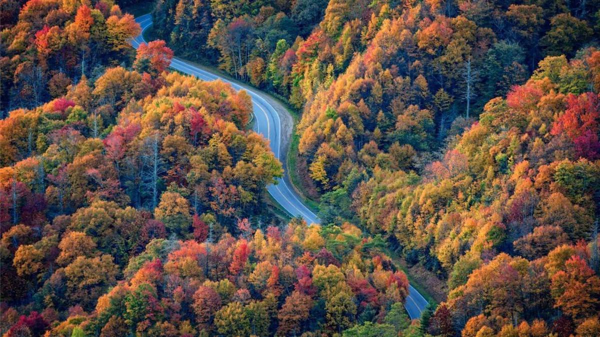 Romantic, Honeymoon Cabin In The Smokies! Gatlinburg Ngoại thất bức ảnh