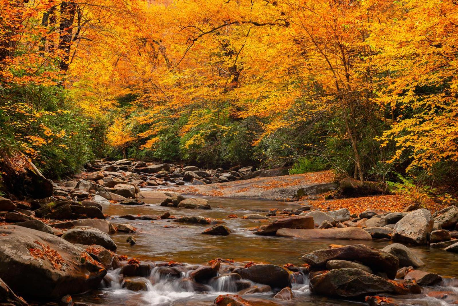 Romantic, Honeymoon Cabin In The Smokies! Gatlinburg Ngoại thất bức ảnh